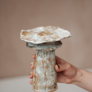 Cogumelo de Cerâmica Castiçal